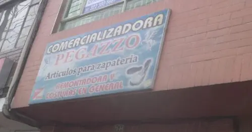 DISTRIBUIDORA PEGAZZO DISTRIBUIDORA PEGAZZO